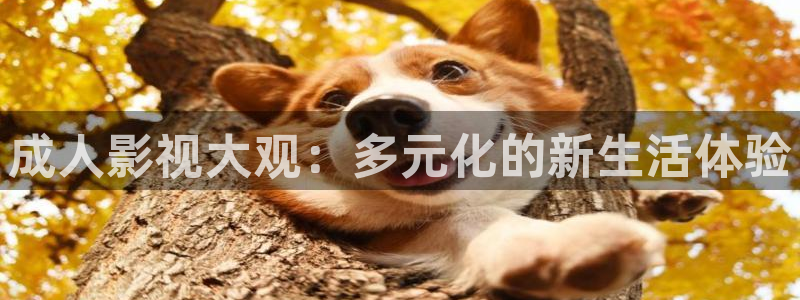 小小影视免费电影：成人影视大观：多元化的新生活体验