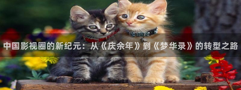 小小影视在线观看下载：中国影视圈的新纪元：从《庆余年》到《梦华录》的转型之路