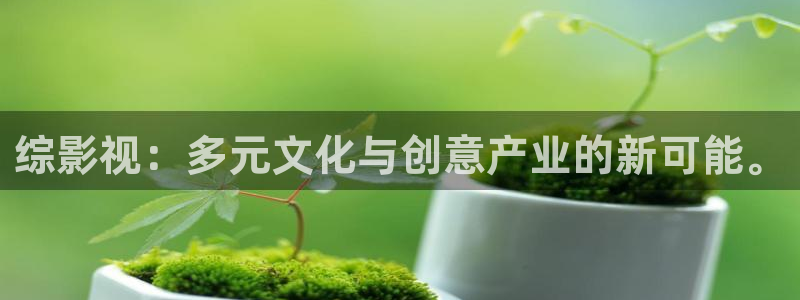 小小影视播放器下载：综影视：多元文化与创意产业的新可能。