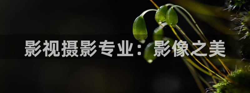 小小影视下载app：影视摄影专业：影像之美