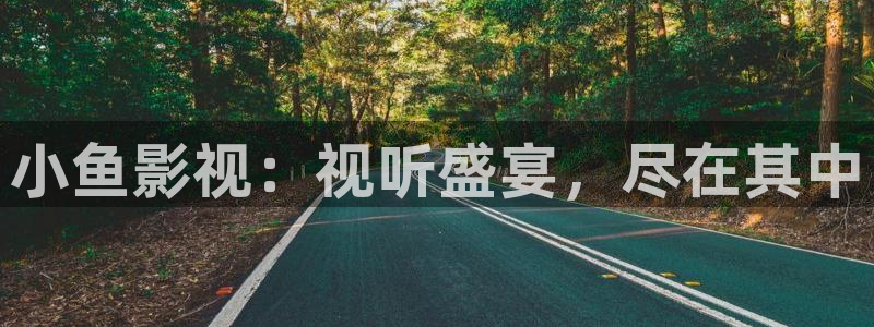 小小影视免费高清观看：小鱼影视：视听盛宴，尽在其中