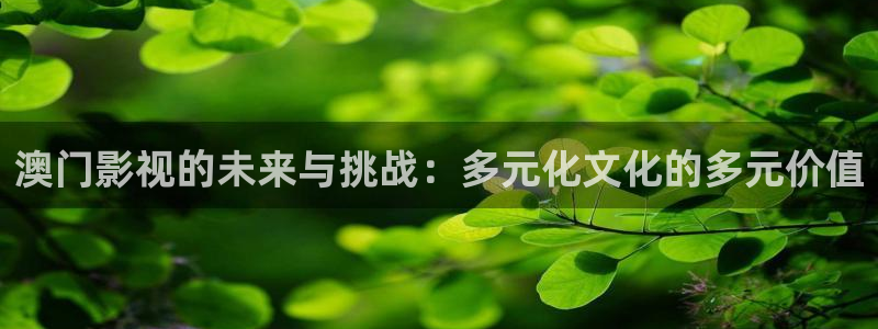 小小影视永久版安装包：澳门影视的未来与挑战：多元化文化的多元价值